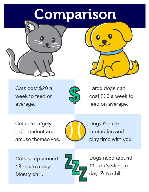 An infographic comparing cats and dogs, side by side.