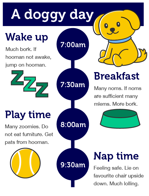 An example of a timeline layout showing a dog's daily routine.