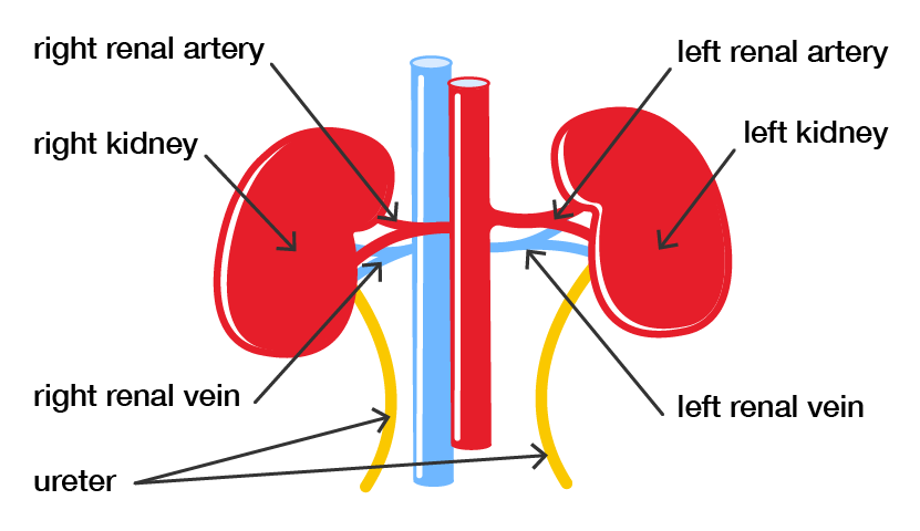 An example image
