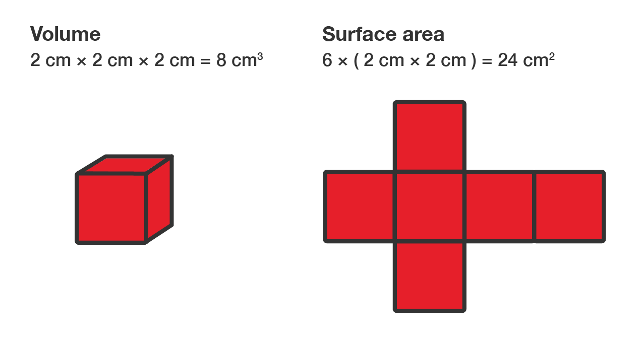 A cube and a net of the same cube.