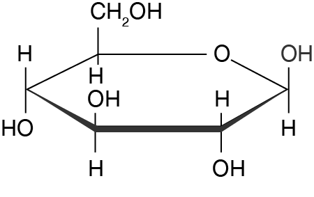 Chemical structure of glucose.