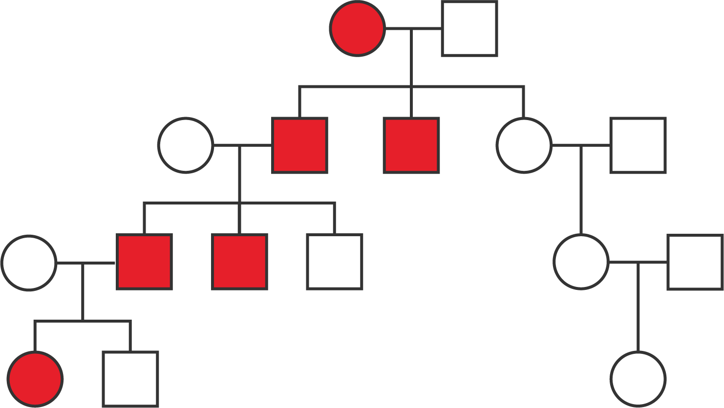 A pedgiree with four generations.