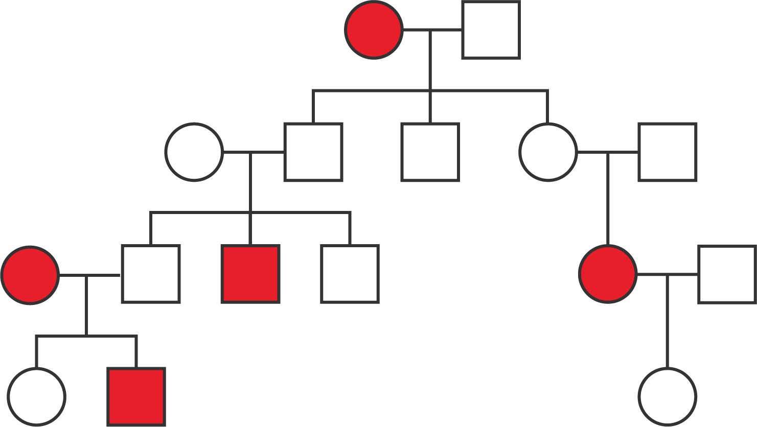 A pedigree with four generations.