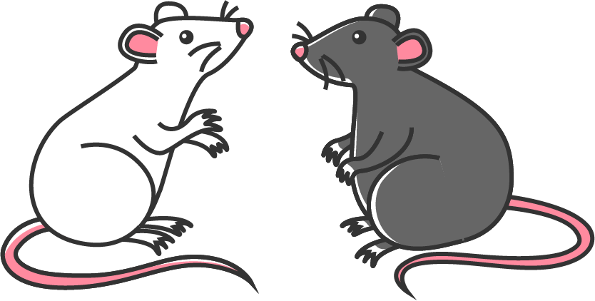 A black mouse and a white mouse.