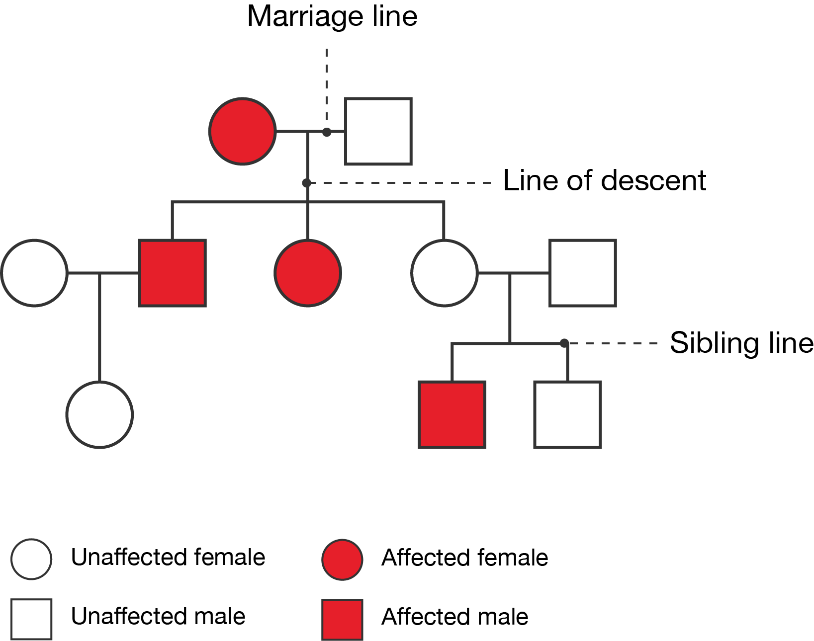 A labelled pedigree.