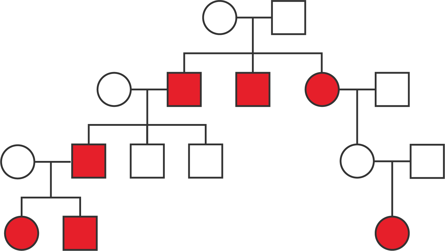 A pedigree with four generations.