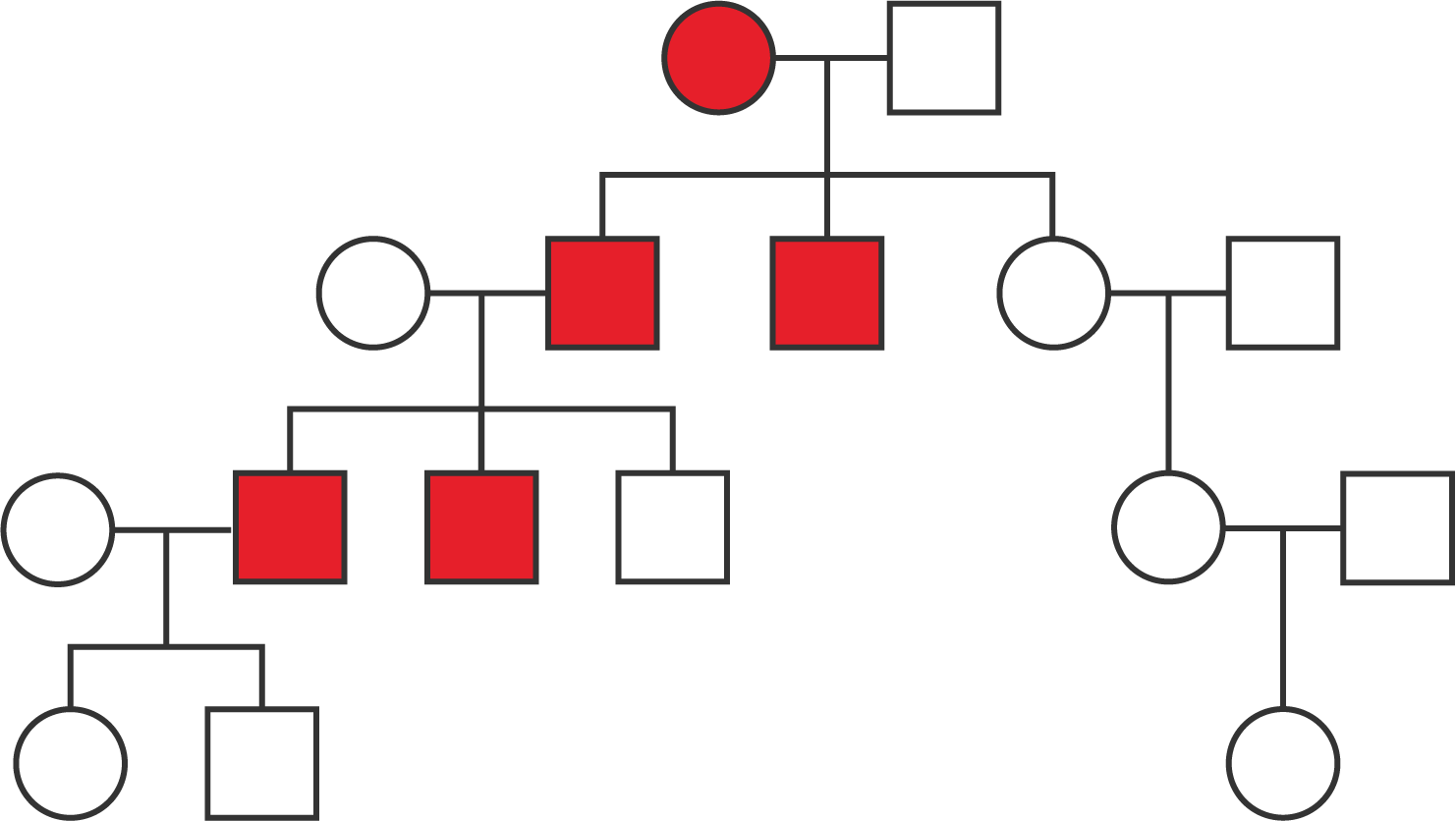 A pedigree with four generations.