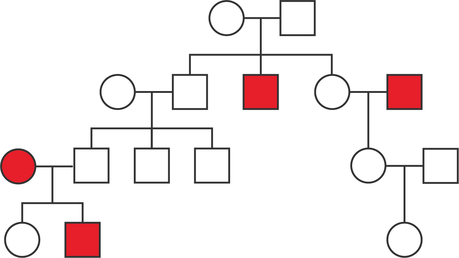 A pedigree with four generations.