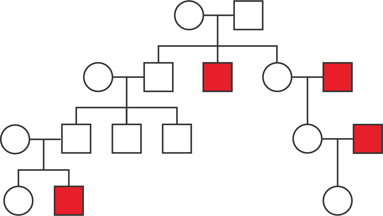 A pedigree with four generations.