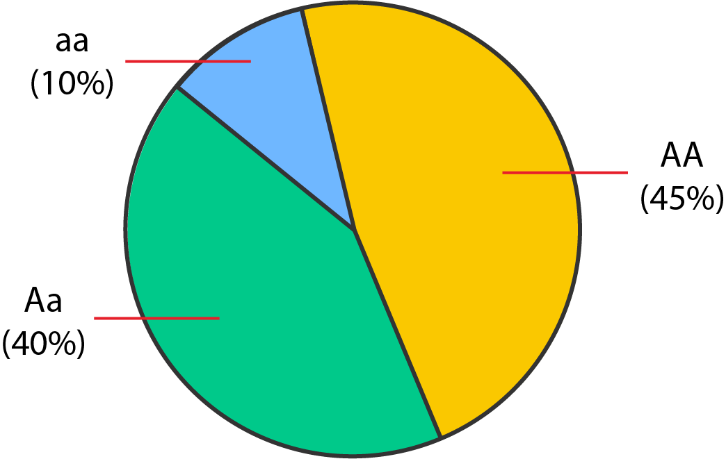 A pie chart. Refer to the transcript.