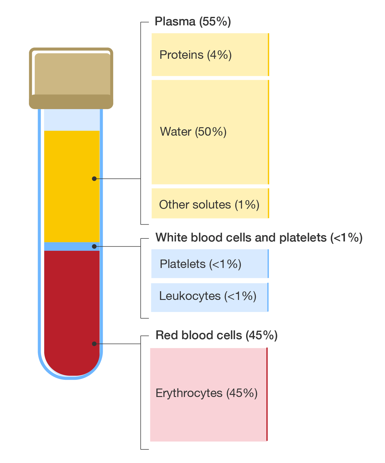Blood composition.
