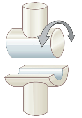 Diagram of a hinge joint, with an arrow showing movement in one plane