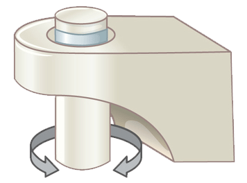 Diagram of a pivot joint, with arrows showing rotation around the bone's axis