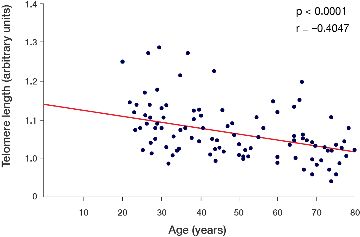 Scatter plot. Refer to transcript.