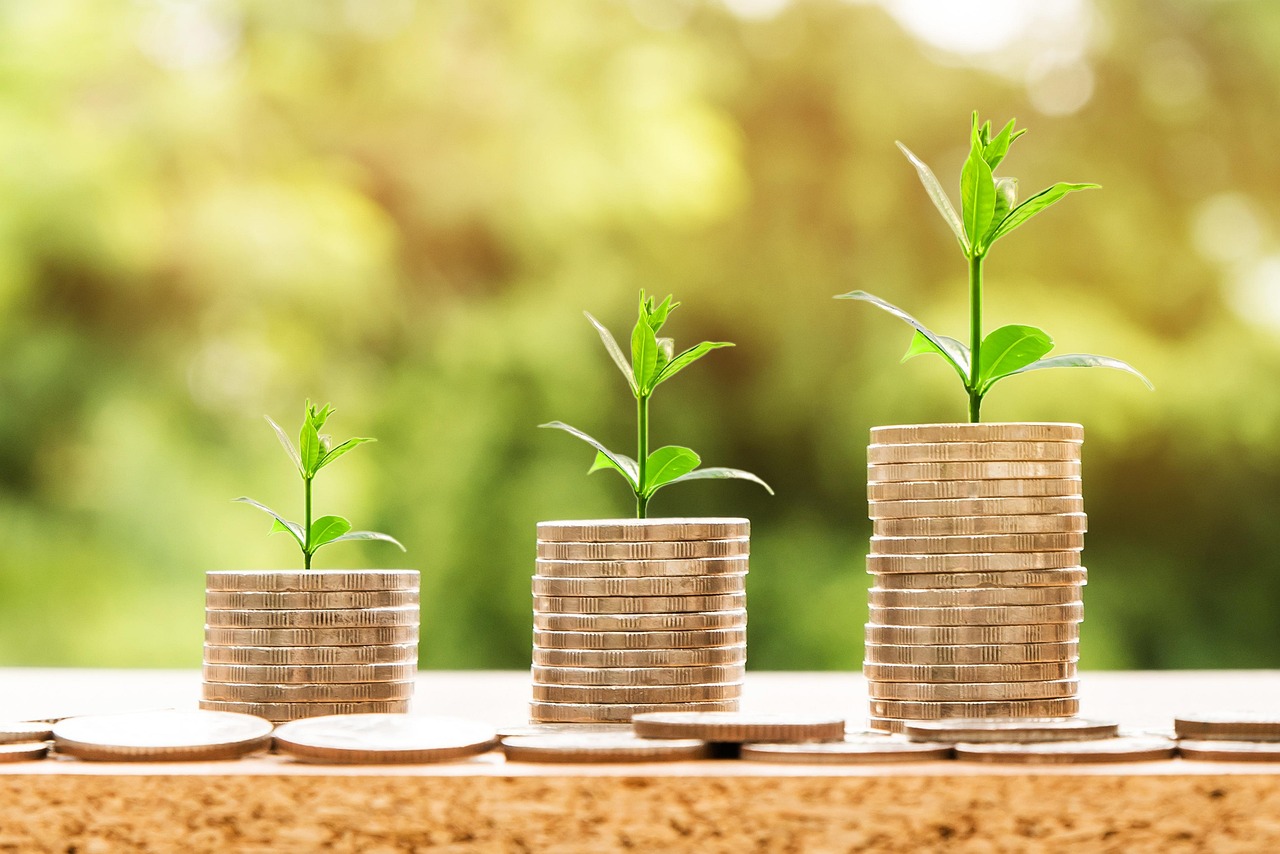 Stacks of coins with plants growing out of them.