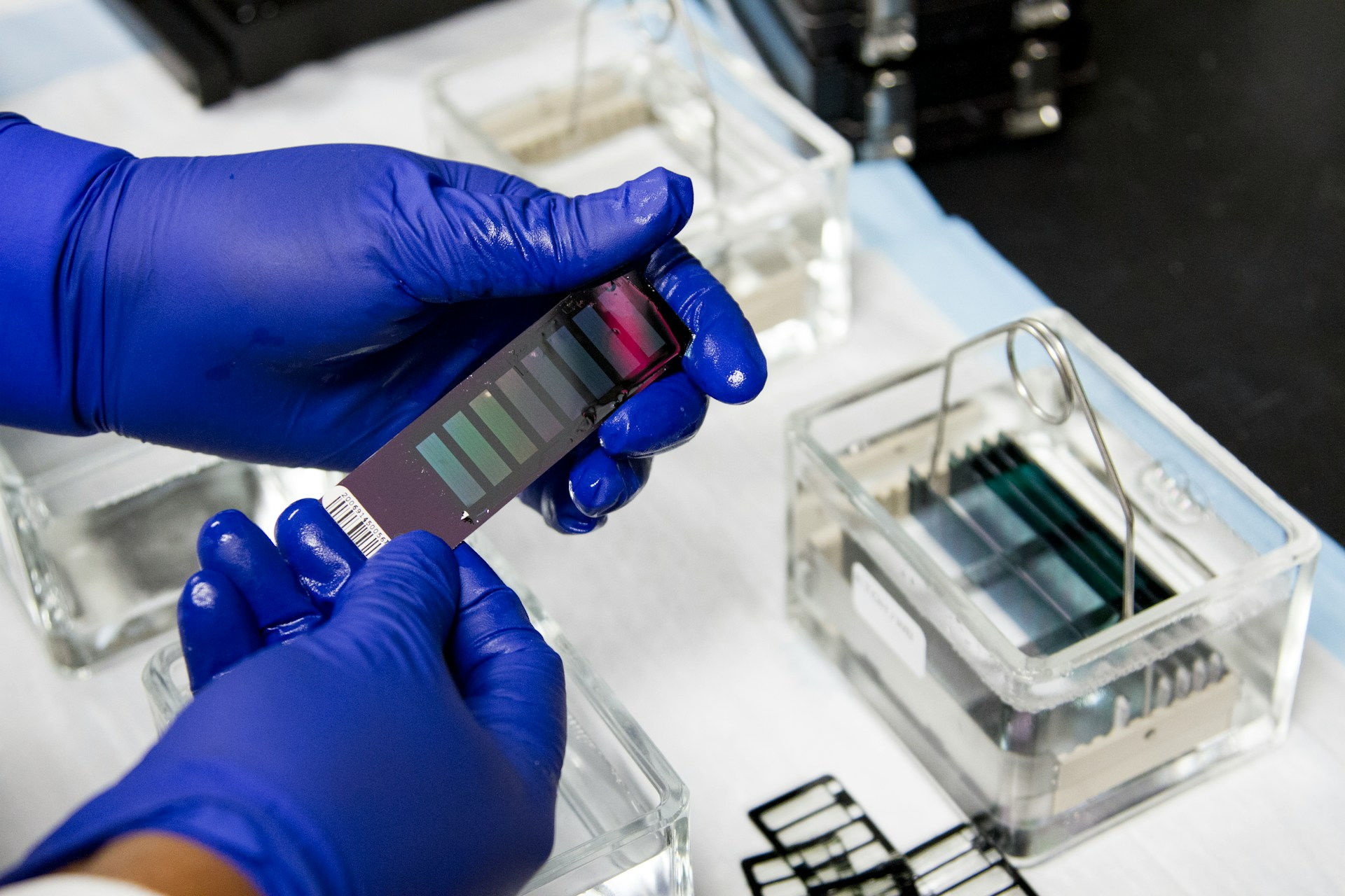 A scientist holding a thin array for genomics studies.