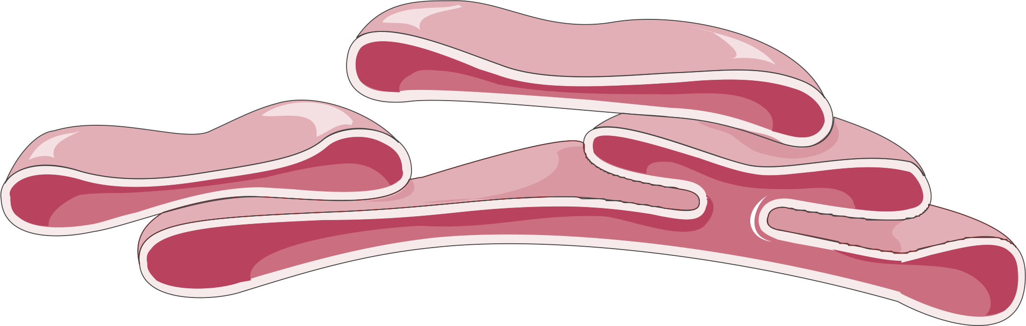 Smooth endoplasmic reticulum.