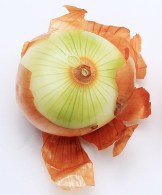An onion.