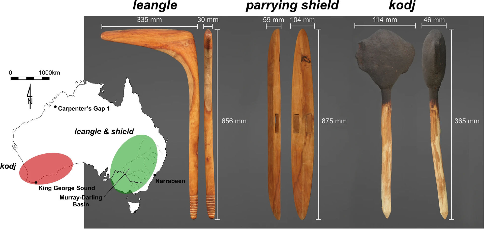 Photograph of three Aboriginal Australian weapons—the leangle, parrying shield and kodj—shown front and side with annotated dimensions. View transcript for more details.
