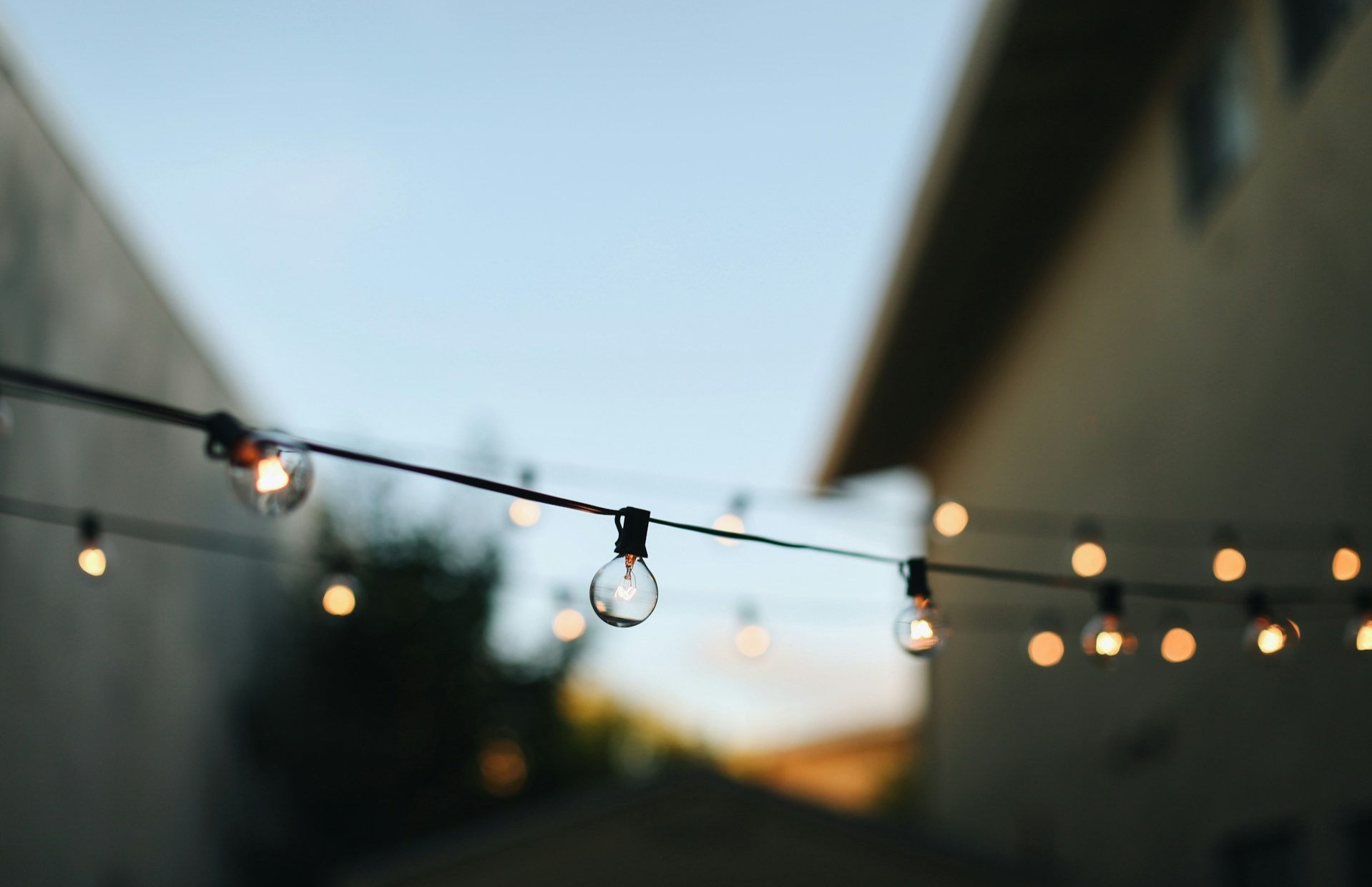 Fairy lights.